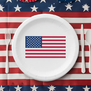 Stars And Stripes 4th Of July American Flag Paper Plate