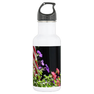 Stars and Stripes 532 Ml Water Bottle