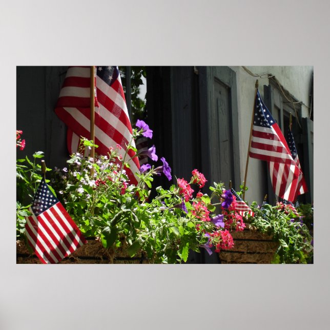 Stars and Stripes Poster (Front)