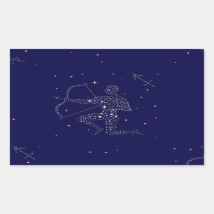 stars sagittarius rectangular sticker