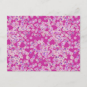 Stars, shades of lilac against magenta postcard
