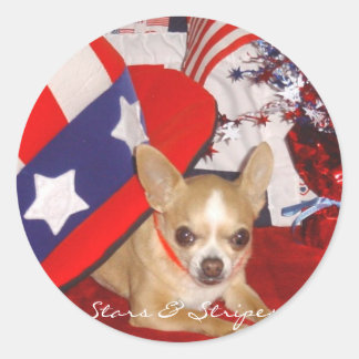 Stars & Stripes Chihuahua Pin Classic Round Sticker