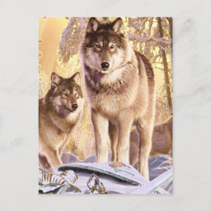 "Stars Under Snow" Postcard