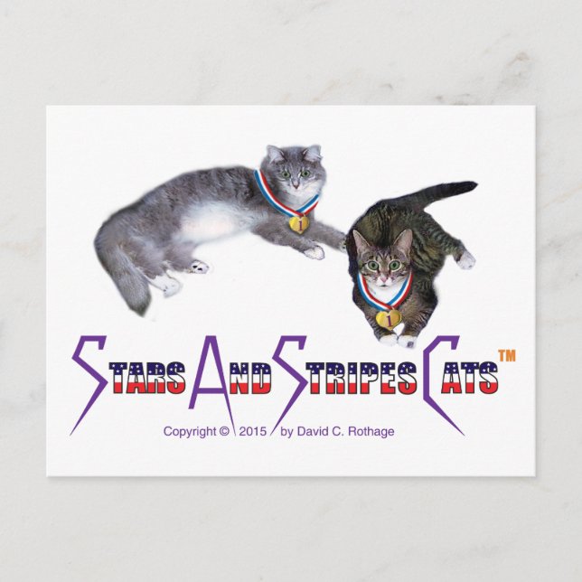 StarsAndStripesCats Postcards (Front)