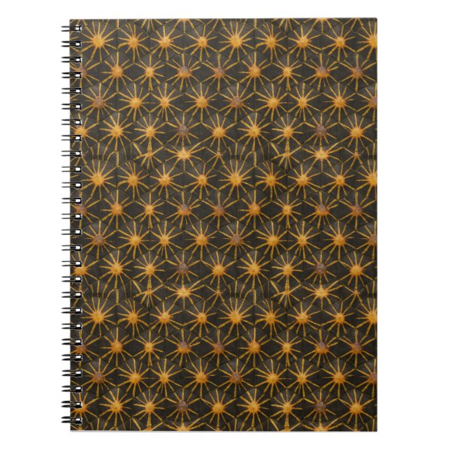 Starshield Radiata | Celestial Gold Geometric Notebook (Front)