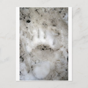 start of the season postcard