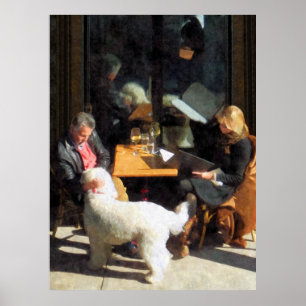 STARTING UNDER $20 - Dining Out With the Family Poster