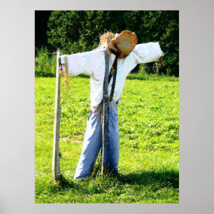 STARTING UNDER $20 - Scarecrow Poster
