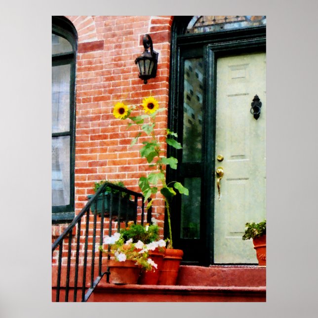 STARTING UNDER $20 - Sunflowers on Stoop Poster (Front)