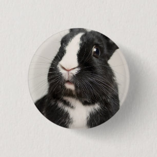 Startled Black and White Bunny Rabbit 3 Cm Round Badge