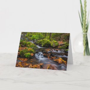 Starvation Creek Falls Columbia Gorge, Oregon Card