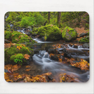 Starvation Creek Falls   Columbia Gorge, Oregon Mouse Pad