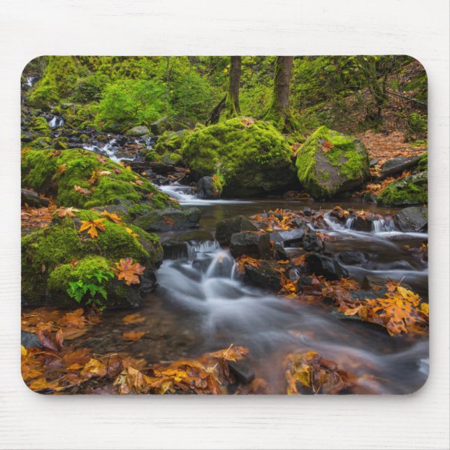 Starvation Creek Falls | Columbia Gorge, Oregon Mouse Pad (Front)