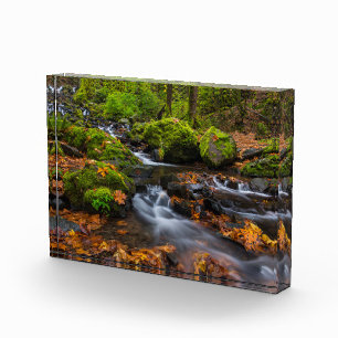 Starvation Creek Falls Columbia Gorge, Oregon Photo Block