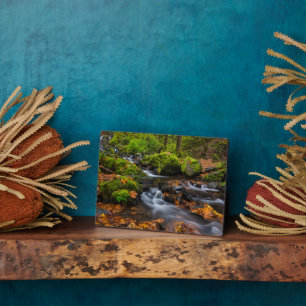 Starvation Creek Falls Columbia Gorge, Oregon Plaque