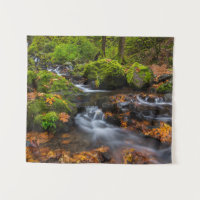 Starvation Creek Falls | Columbia Gorge, Oregon