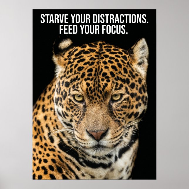 Starve Distractions, Feed Focus - Tiger Success Poster (Front)