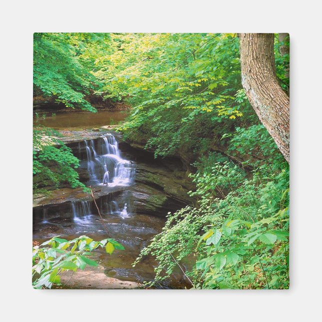 Starved Rock Park, Illinois Magnet (Front)