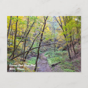 Starved Rock Postcard