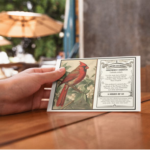 State Bird Collection, Cardinal, customisable Thank You Card