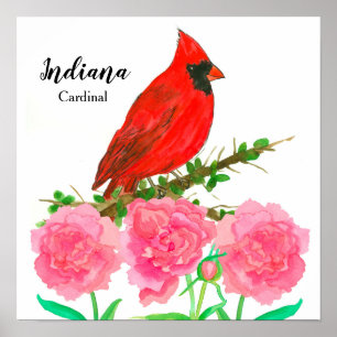 State Bird of Indiana Northern Cardinal Poster