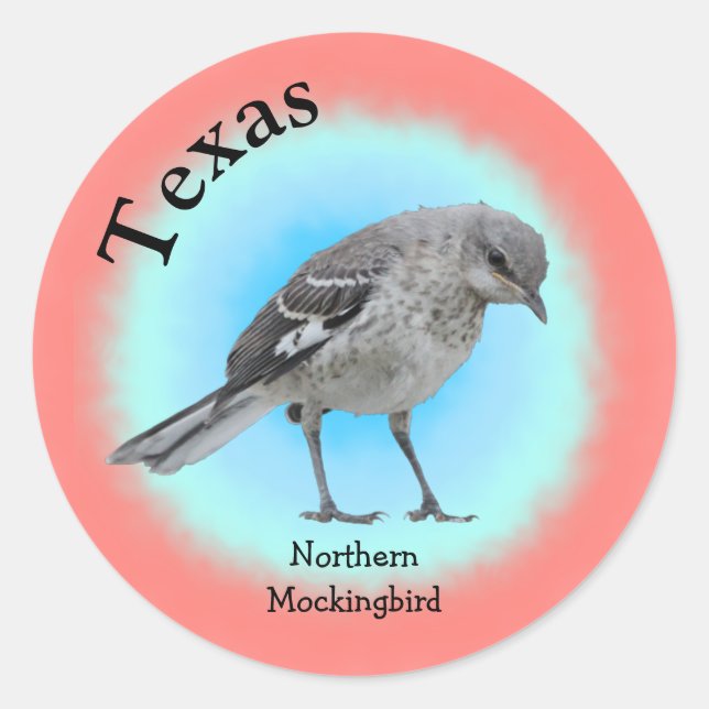 State Bird of Texas Classic Round Sticker (Front)