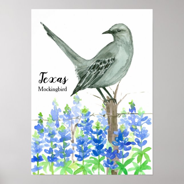 State Bird of Texas Mockingbird Poster (Front)