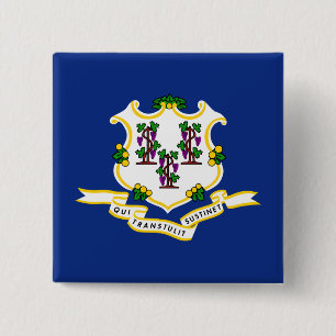 State Flag of Connecticut 15 Cm Square Badge
