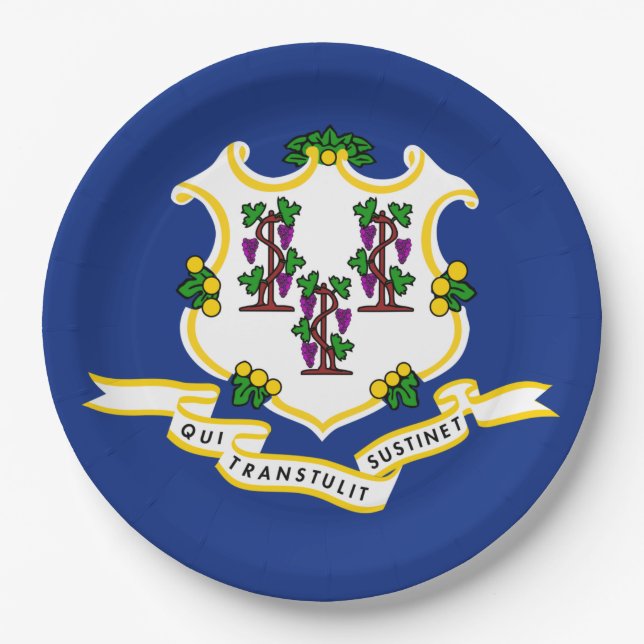 State Flag of Connecticut Paper Plate (Front)
