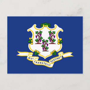 State Flag of Connecticut Postcard
