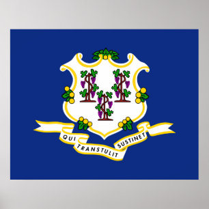 State Flag of Connecticut Poster