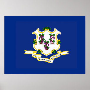 State Flag of Connecticut Poster