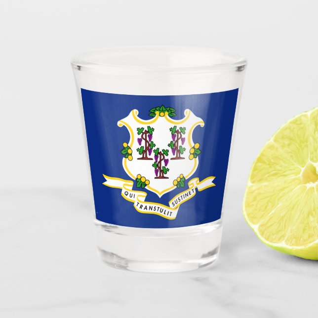 State Flag of Connecticut Shot Glass (Front)