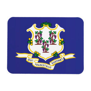 State Flag of Connecticut, USA Magnet
