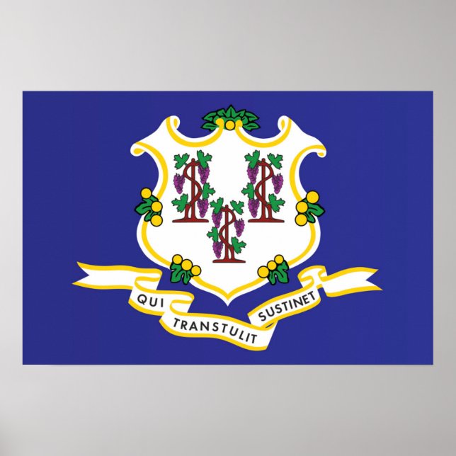 State Flag of Connecticut, USA Poster (Front)