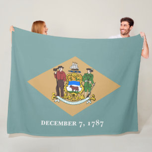 State Flag of Delaware (DE, USA) Fleece Blanket