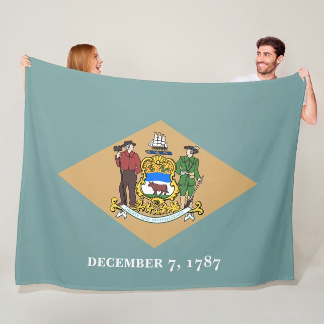 State Flag of Delaware (DE, USA) Fleece Blanket (In Situ)