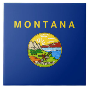 State Flag of Montana Tile