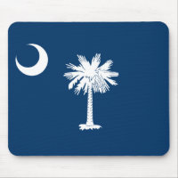 State Flag of South Carolina