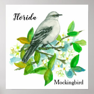 State Flower of Florida Orange Blossom Mockingbird Poster