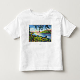 State Hwy View of Bluff Point Toddler T-Shirt