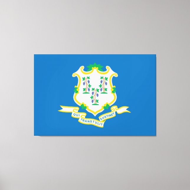 State of Connecticut flag Canvas Print (Front)