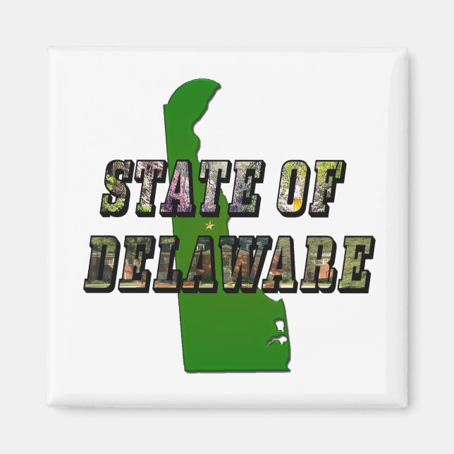 State of Delaware Picture Text & Map Outline Magnet (Front)