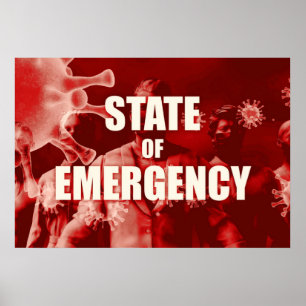 State of Emergency and Crisis Management Poster