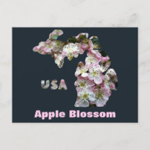 State of Michigan and Apple Blossoms