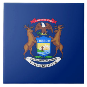State of Michigan Flag Tile