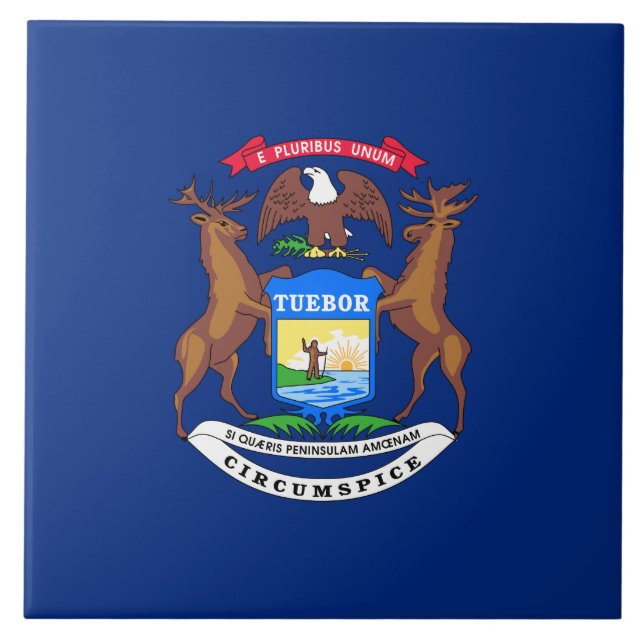 State of Michigan Flag Tile (Front)