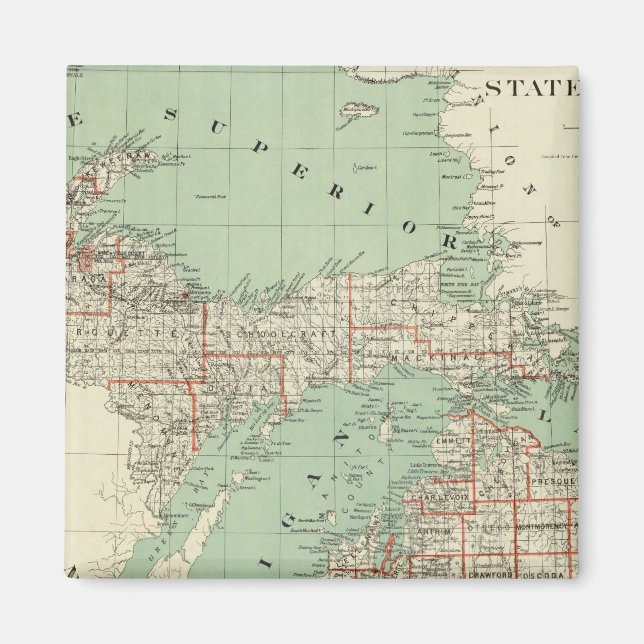 State of Michigan Magnet (Front)