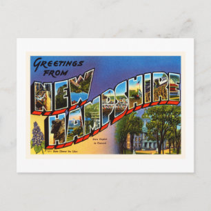 State of New Hampshire NH Vintage Travel Souvenir Postcard