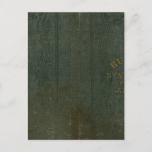 State of New York by DH Burr 2 Postcard